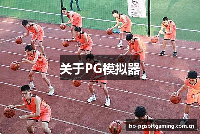 关于PG模拟器